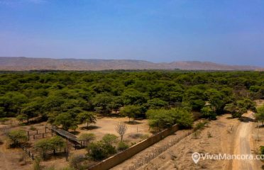 Se vende propiedad inscrita de 5.8 hectáreas en Quebrada Fernandez